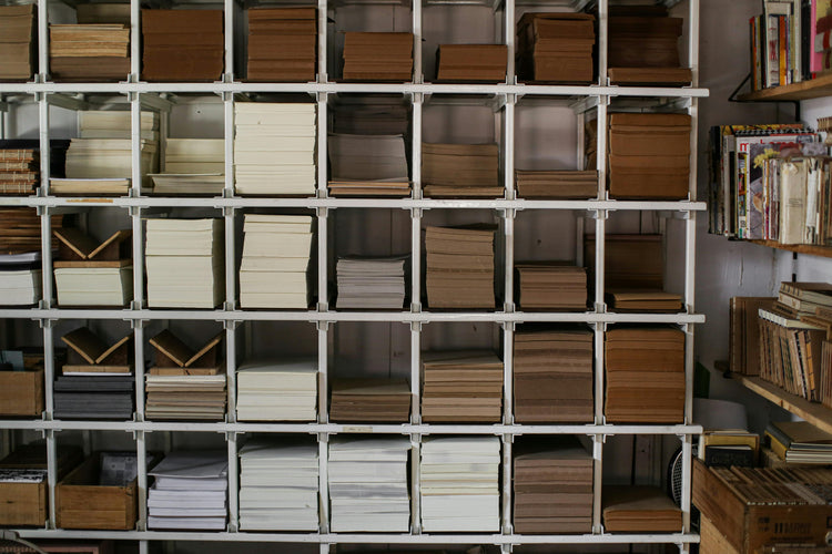 ORGANIZATOARE
