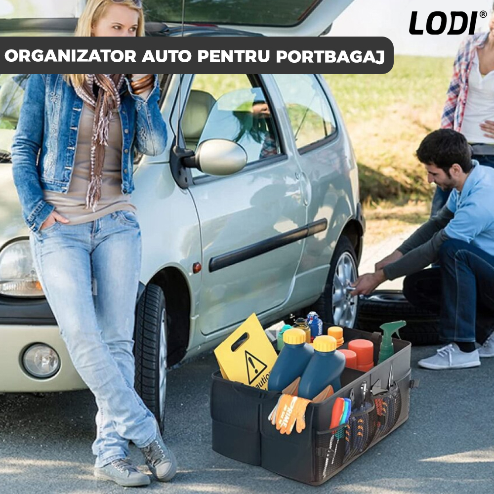 Organizator Auto Portbagaj Lodi293, 7 compartimente, pliabil, impermeabil, portabil, chingi de ancorare, multifunctional, universal, negru
