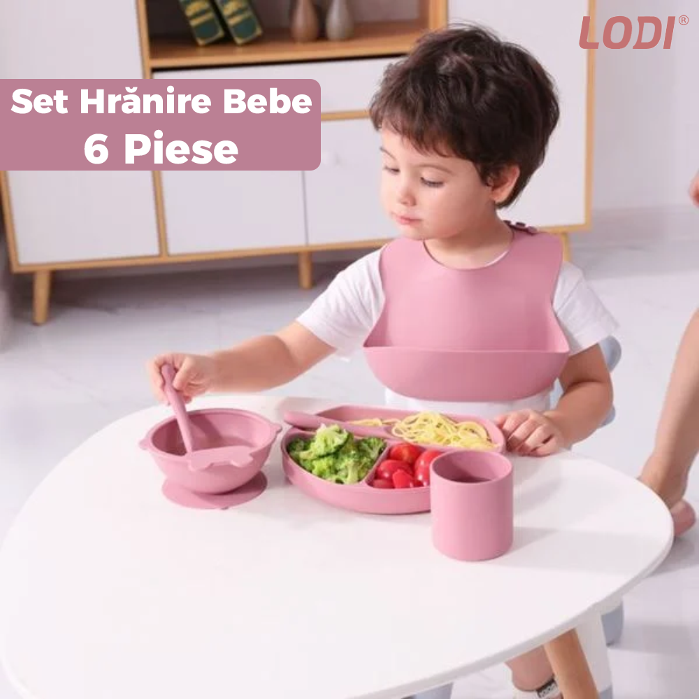 Set Hranire Bebeulsi Lodi509, 6 piese, termorezistente, silicon, fara BPA, pliabile, usor de curatat, roz blush