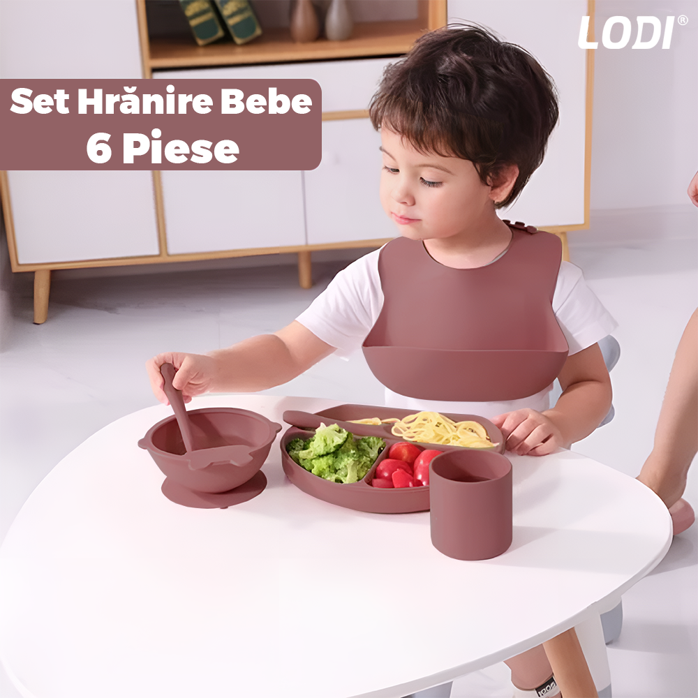Set Hranire Bebeulsi Lodi1007, 6 piese, termorezistente, silicon, fara BPA, pliabile, usor de curatat, roz inchis