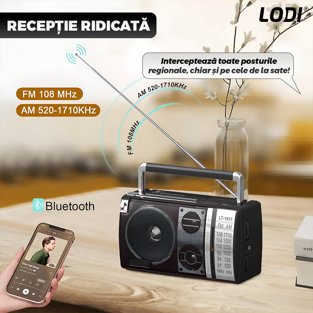 Radio Portabil Lodi1263, FM/AM, mod dual de alimentare, baterii/la priza, receptie ridicata ce prinde posturi regionale/la sate, port jack 3.5 mm, negru