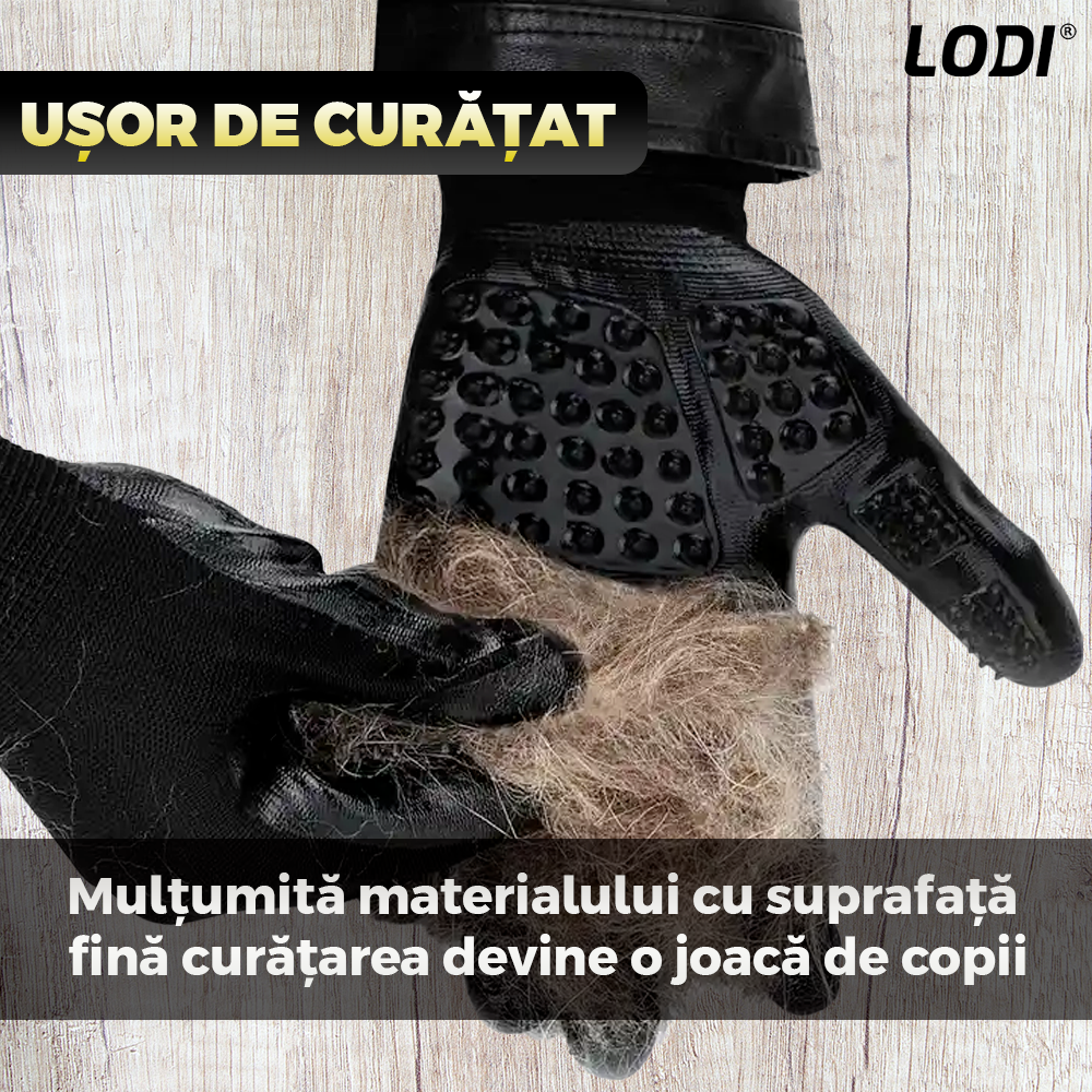 Kit pentru Ingrijire Animale Premium Lodi1011, 4 accesorii, manusi pentru animale, perie cu zimti, perie pentru scame, perie de lemn, usor de utilizat, durabile, calitative
