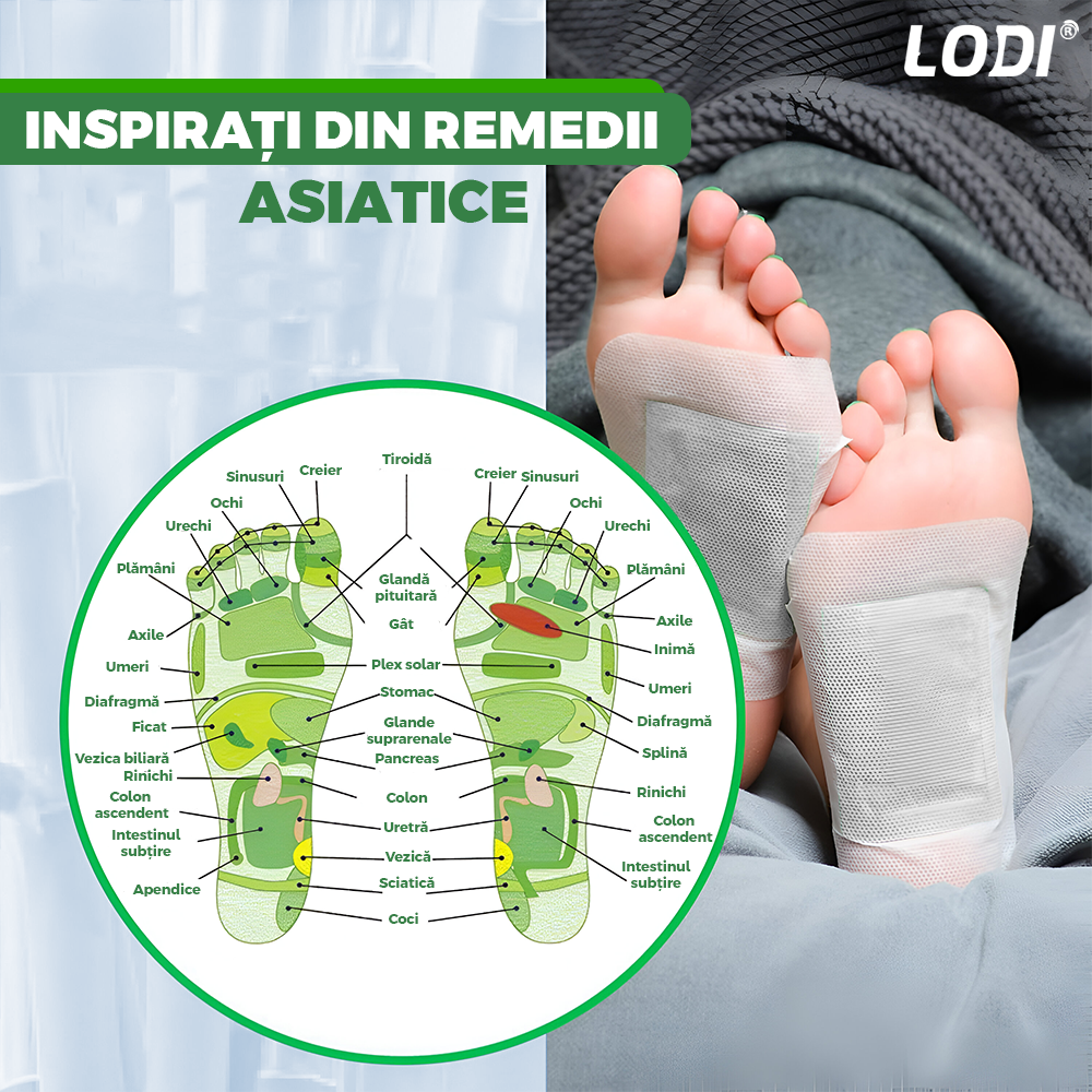Set 150 de plasturi KINOKI Lodi1257, pentru detoxifiere, ingrediente naturale, vitamina C, imbunatatesc somnul, energizeaza, curata, adezivi, alb