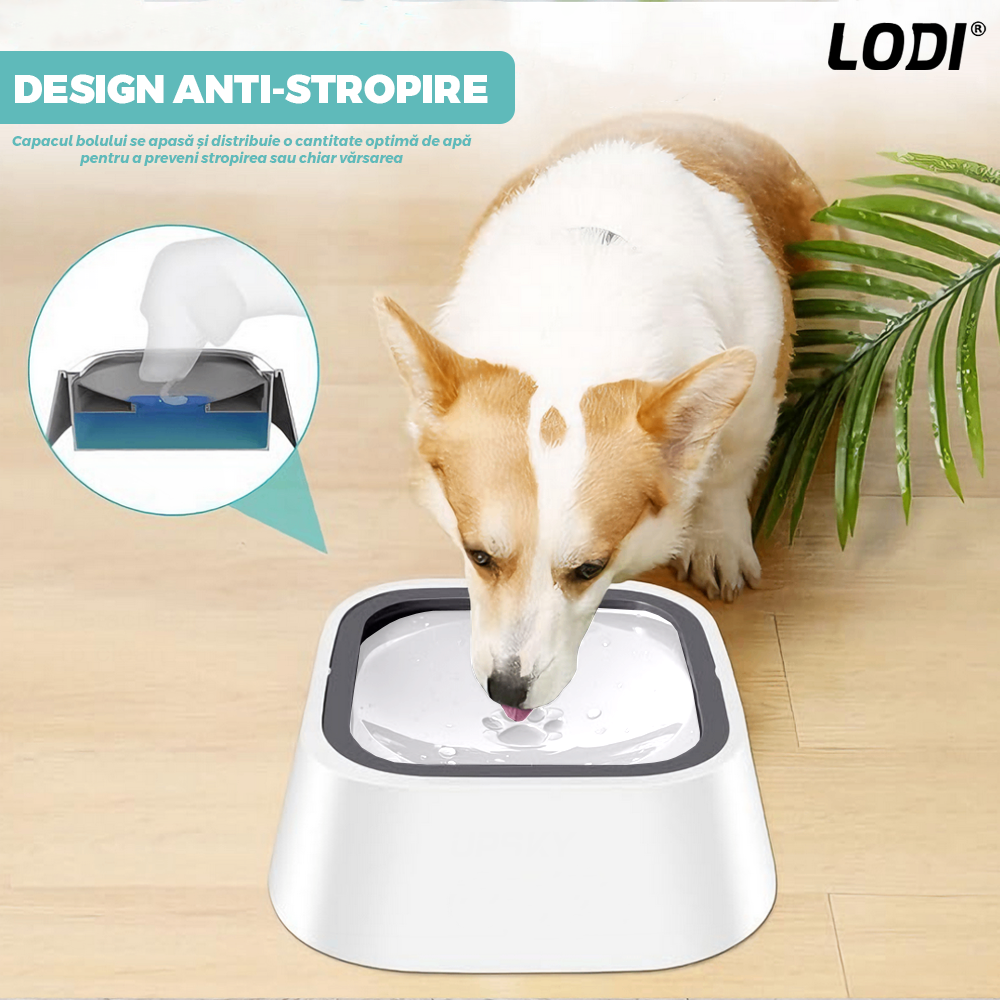 Bol Apa Anti-stropire Lodi1504, pentru caini si pisici, rama flotanta, sistem anti-alunecare, adapator, piese detasabile, capacitate 1.5 l, alb/gri