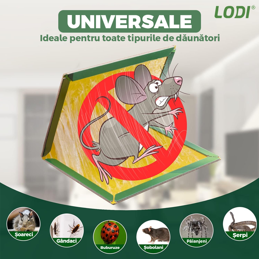 Set 50 x Capcane cu Lipici pentru Sobolani Lodi996, soareci, insecte, daunatori, din carton, tip carte, adeziv puternic, fara miros, reutilizabile, pentru exterior/interior, non-toxice, verde
