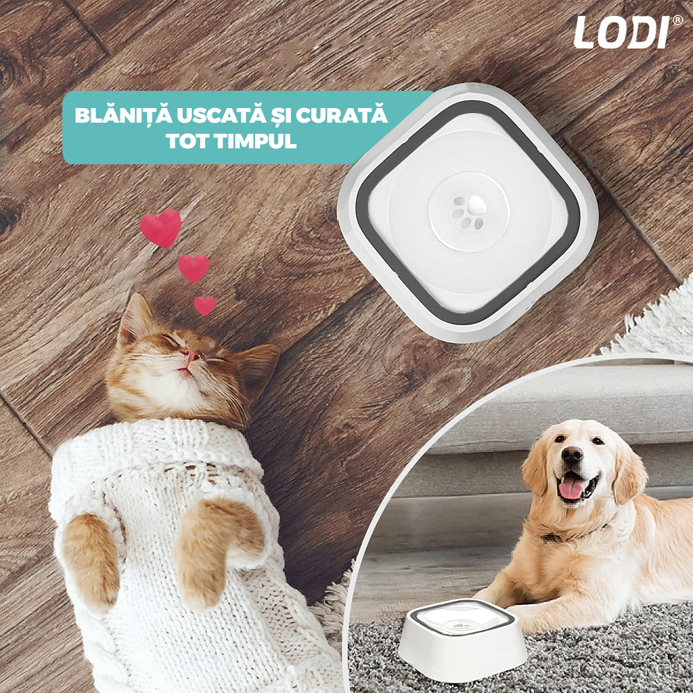 Bol Apa Anti-stropire Lodi1504, pentru caini si pisici, rama flotanta, sistem anti-alunecare, adapator, piese detasabile, capacitate 1.5 l, alb/gri