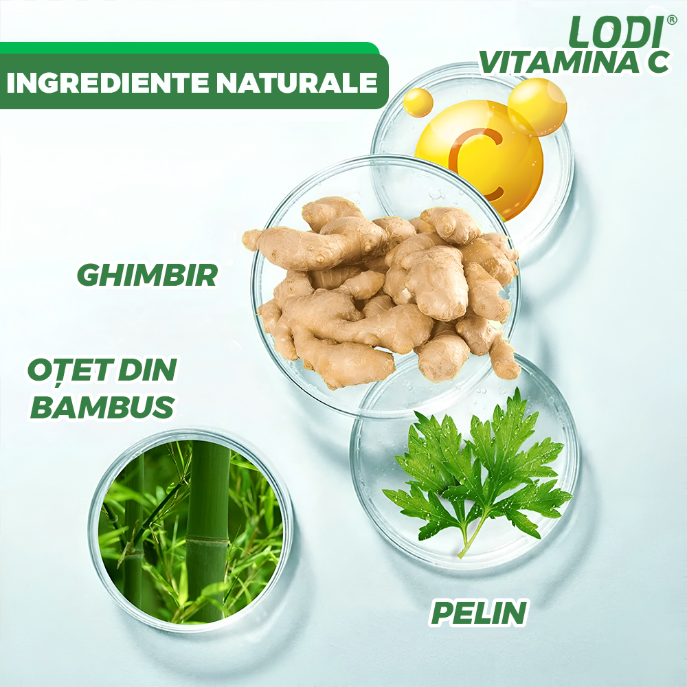 Set 50 de plasturi KINOKI Lodi1255, pentru detoxifiere, ingrediente naturale, vitamina C, imbunatatesc somnul, energizeaza, curata, adezivi, alb