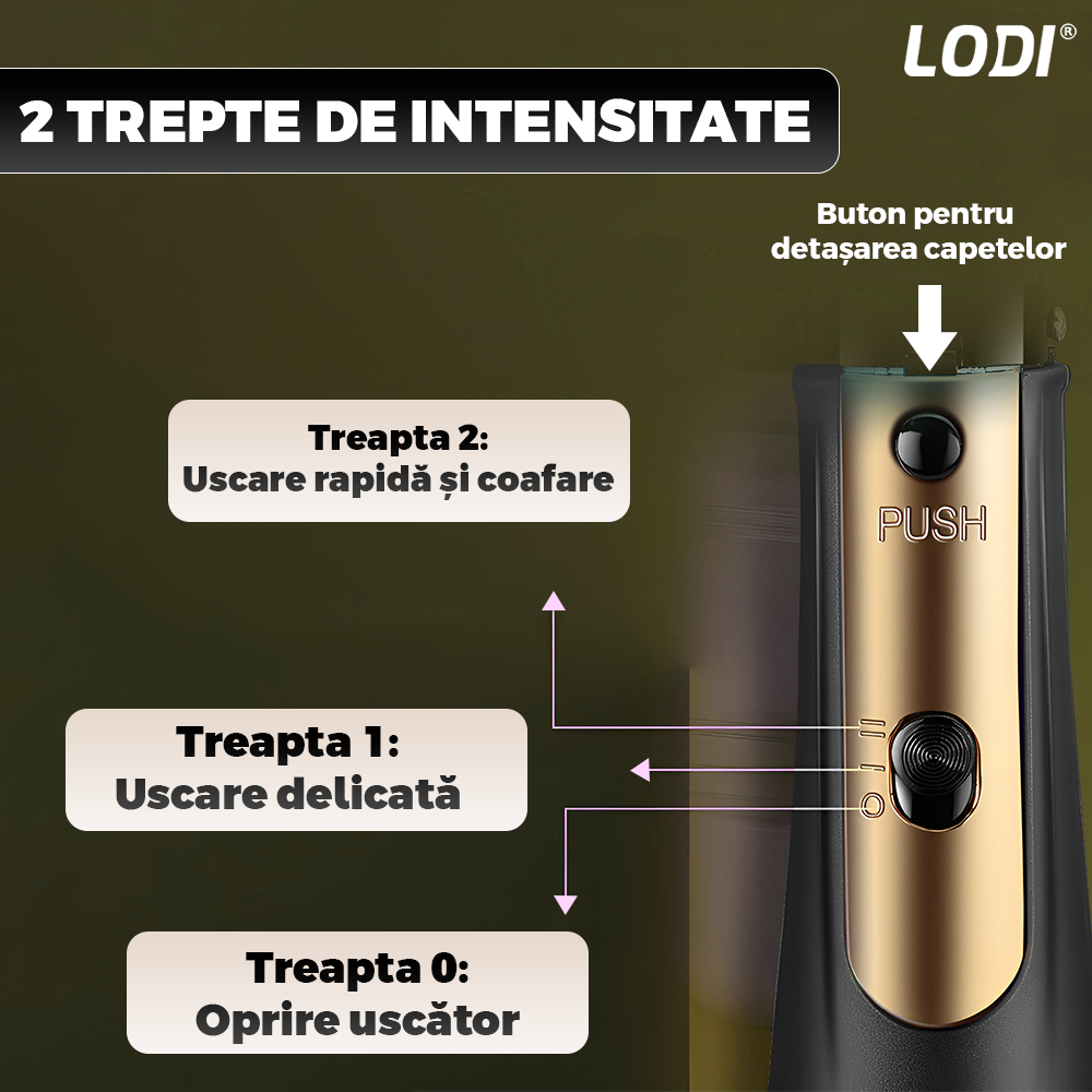 Uscator Profesional de Par 3 in 1 Lodi998, aparat multifunctional coafare si uscare, 3 accesorii incluse, 1000W, gri