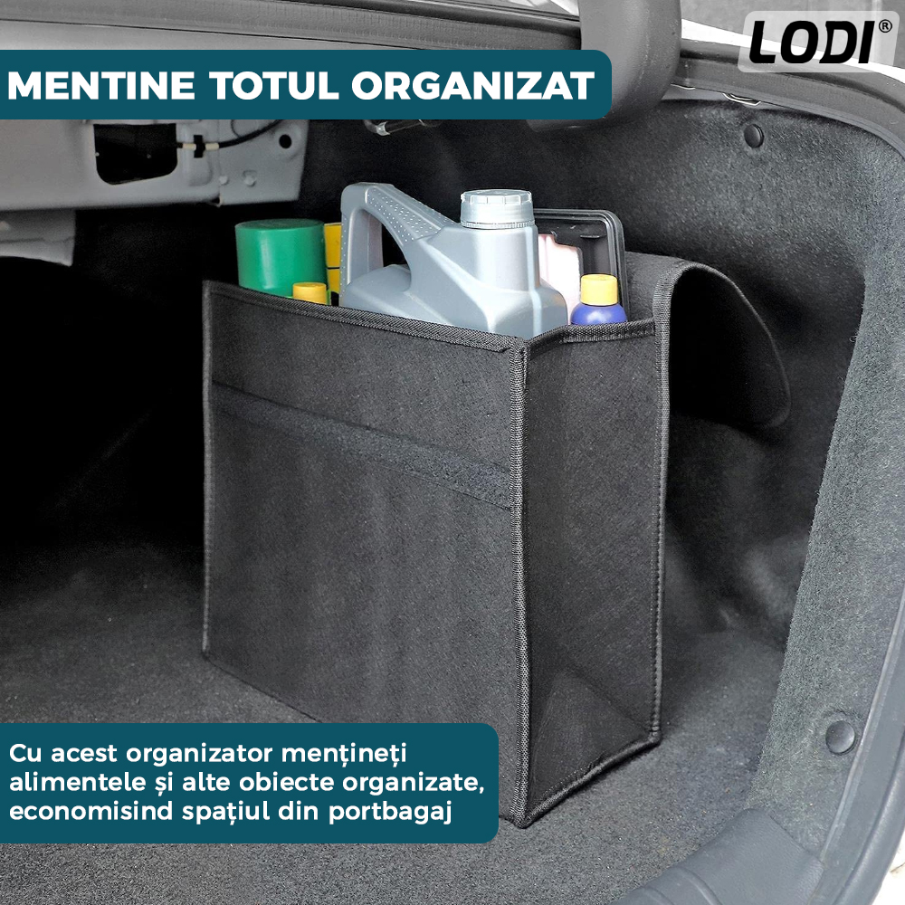 Organizator Auto Portbagaj Lodi295, 1 compartiment, tip geanta, portabil, inchidere velcro, multifunctional, universal, negru