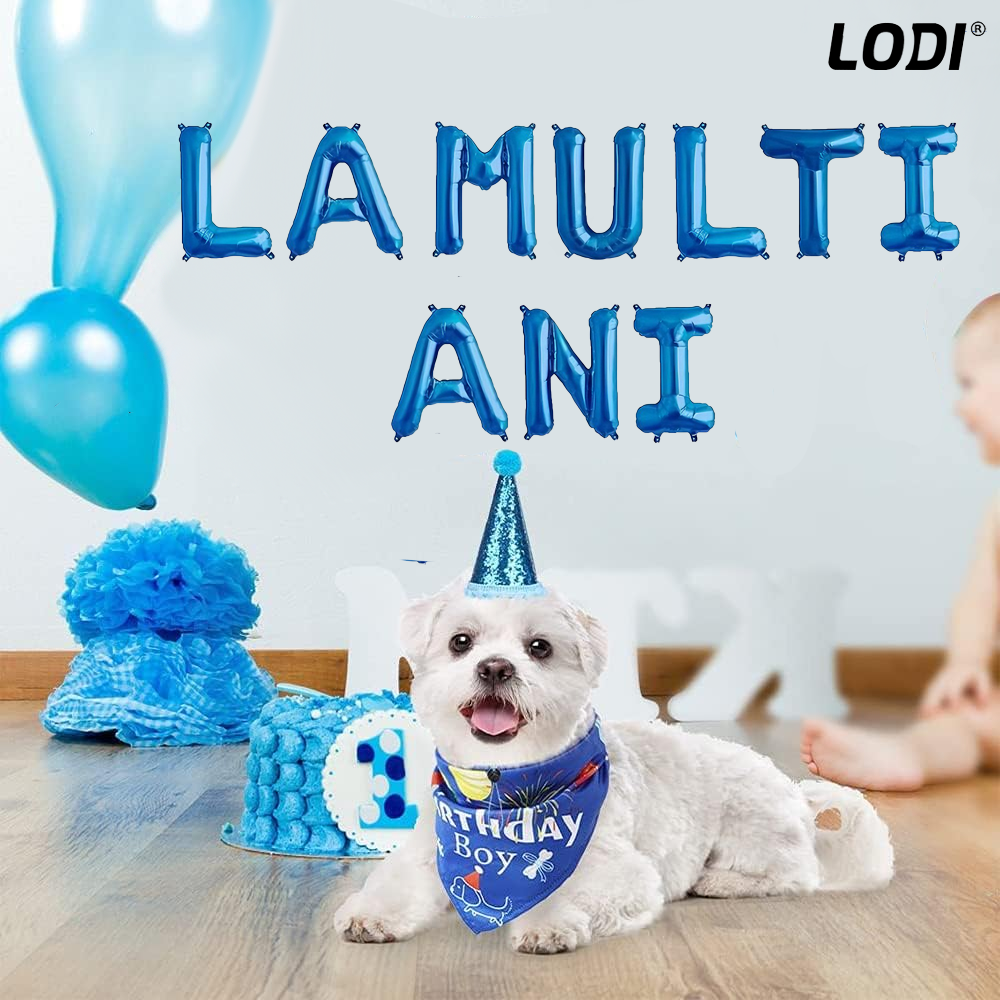 Set 10 Baloane Lodi1044, Litere, pentru Petreceri/Aniversari/Evenimente,, model LA MULTI ANI, albastru