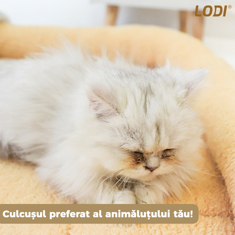 Pat Animale Lodi11, Model Dreptunghi, moale, pufos si calduros, pentru caini si pisici, dimensiuni 88x60cm, baza anti-alunecare, crem