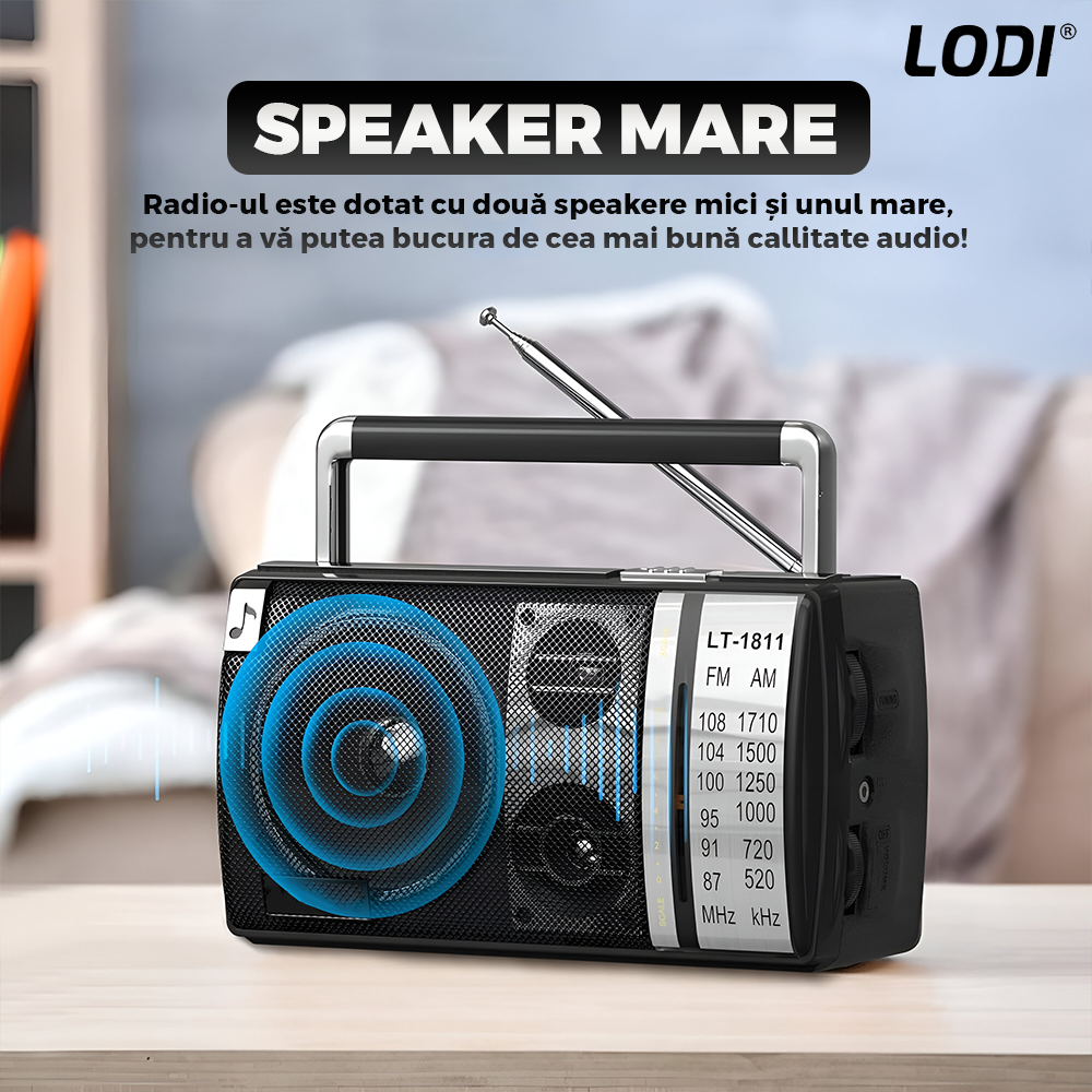 Radio Portabil Lodi1263, FM/AM, mod dual de alimentare, baterii/la priza, receptie ridicata ce prinde posturi regionale/la sate, port jack 3.5 mm, negru