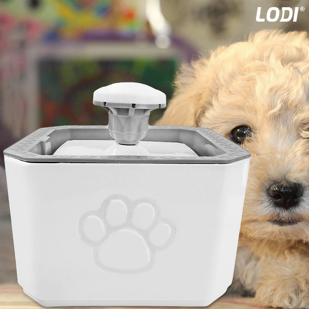 Dispenser de Apa Tip Fantana Lodi1506, ultra-silentios, pentru caini si pisici, filtru de carbon inclus, usor de utilizat, elimina bacteriile din apa, alimentare USB, desgin modern, alb