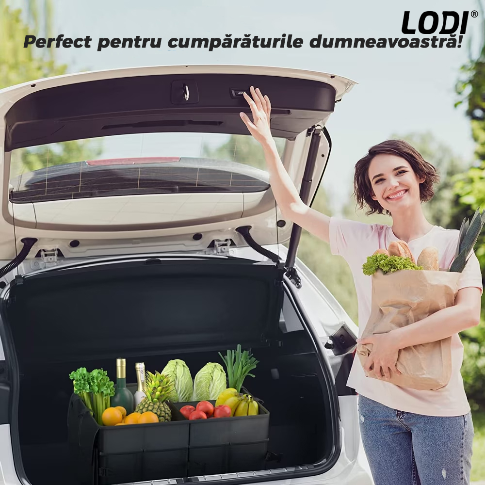 Organizator Auto Portbagaj Lodi293, 7 compartimente, pliabil, impermeabil, portabil, chingi de ancorare, multifunctional, universal, negru