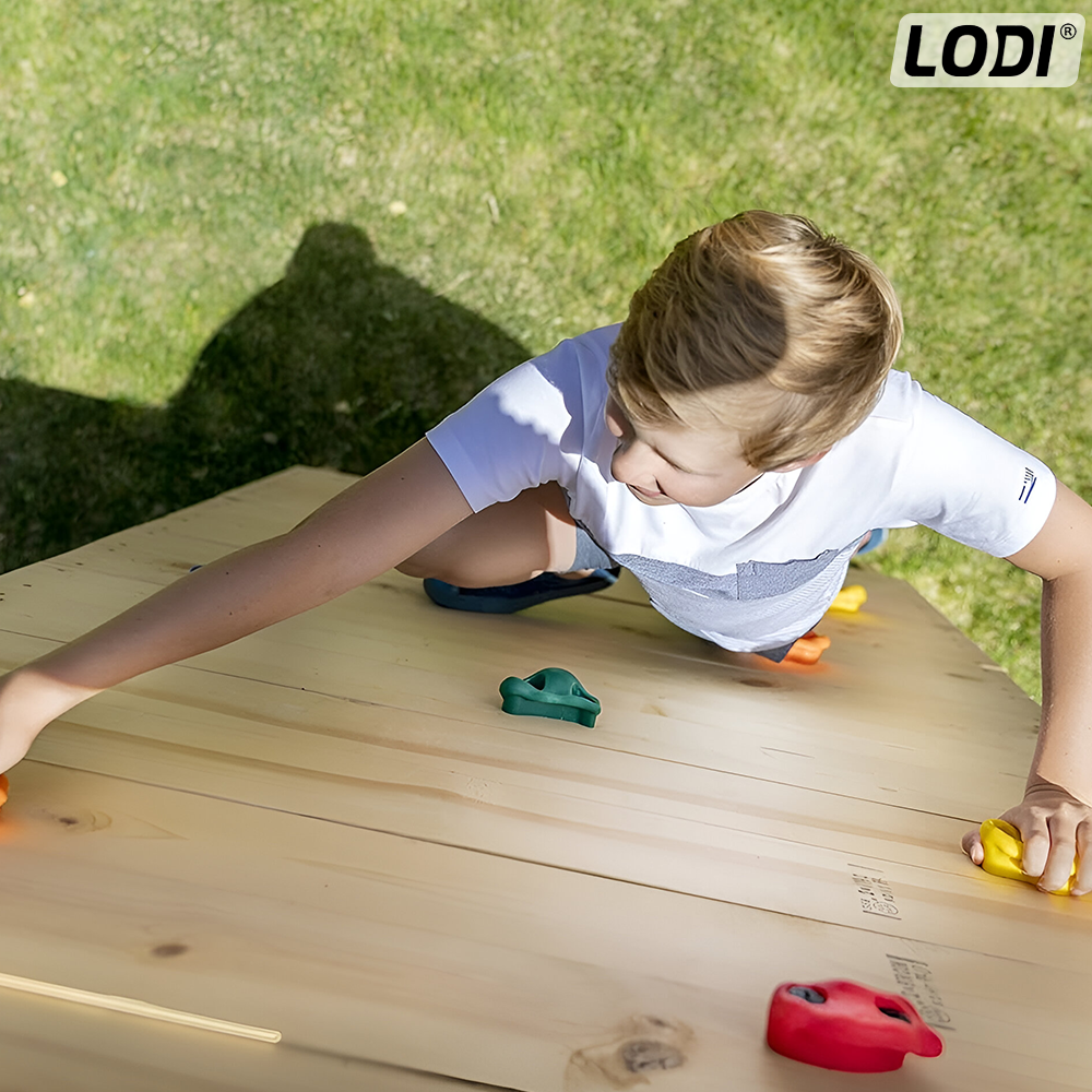 Set 10 Pietre pentru Catarat Lodi1266, pentru perete, materiale calitative, sigure, anti-alunecare, margini rotunjite, interior/exterior, sistem de prindere inclus cu imbus M8x55, multicolore