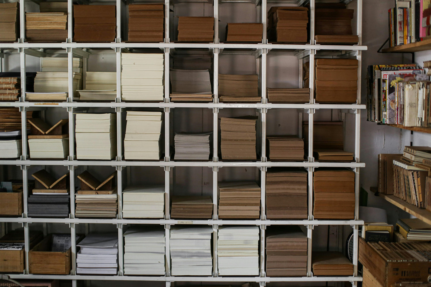 ORGANIZATOARE