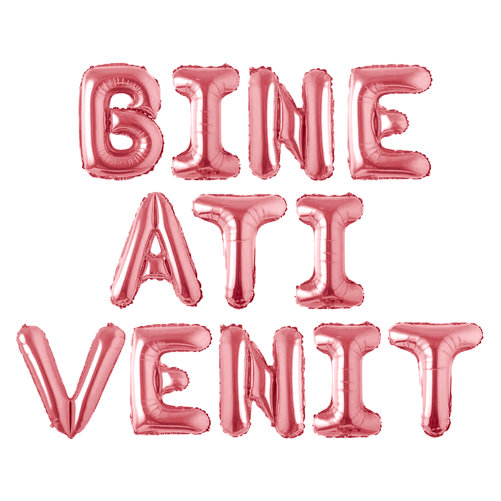 Set 12 Baloane Lodi1048, Litere, pentru Petreceri/Aniversari/Evenimente, o singura dimensiune, o culoare, metalizate, folie, model BINE ATI VENIT, roz, 45 cm