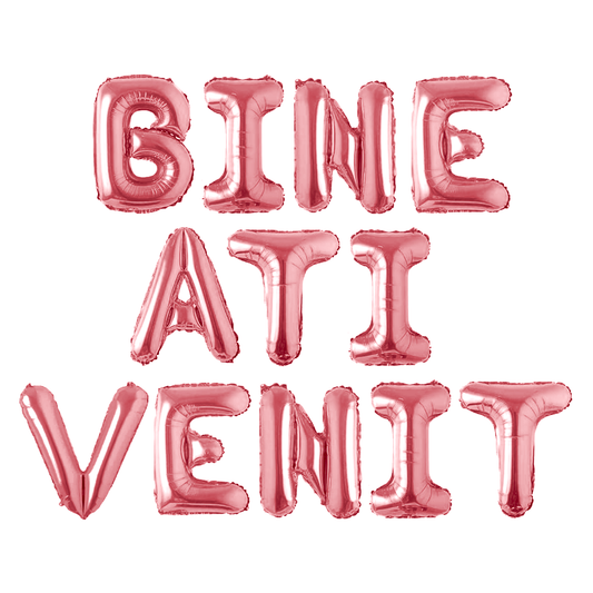 Set 12 Baloane Lodi1048, Litere, pentru Petreceri/Aniversari/Evenimente, o singura dimensiune, o culoare, metalizate, folie, model BINE ATI VENIT, roz, 45 cm