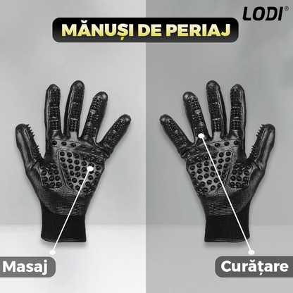 Kit pentru Ingrijire Animale Premium Lodi1011,  4 accesorii, manusi pentru animale, perie cu zimti, perie pentru scame, perie de lemn, usor de utilizat, durabile, calitative