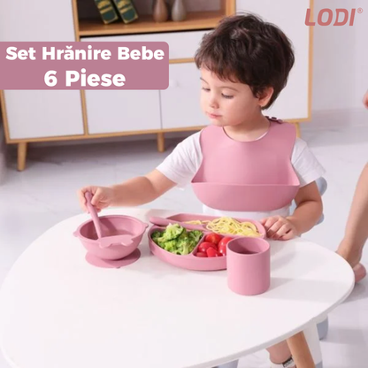 Set Hranire Bebeulsi Lodi509, 6 piese, termorezistente, silicon, fara BPA, pliabile, usor de curatat, roz blush