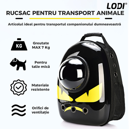 Rucsac Transport Animale Lodi24, greutate Max 7kg, hublou transparent, buzunar lateral, accesorii incluse, pentru talie mica, model Monstrulet, negru
