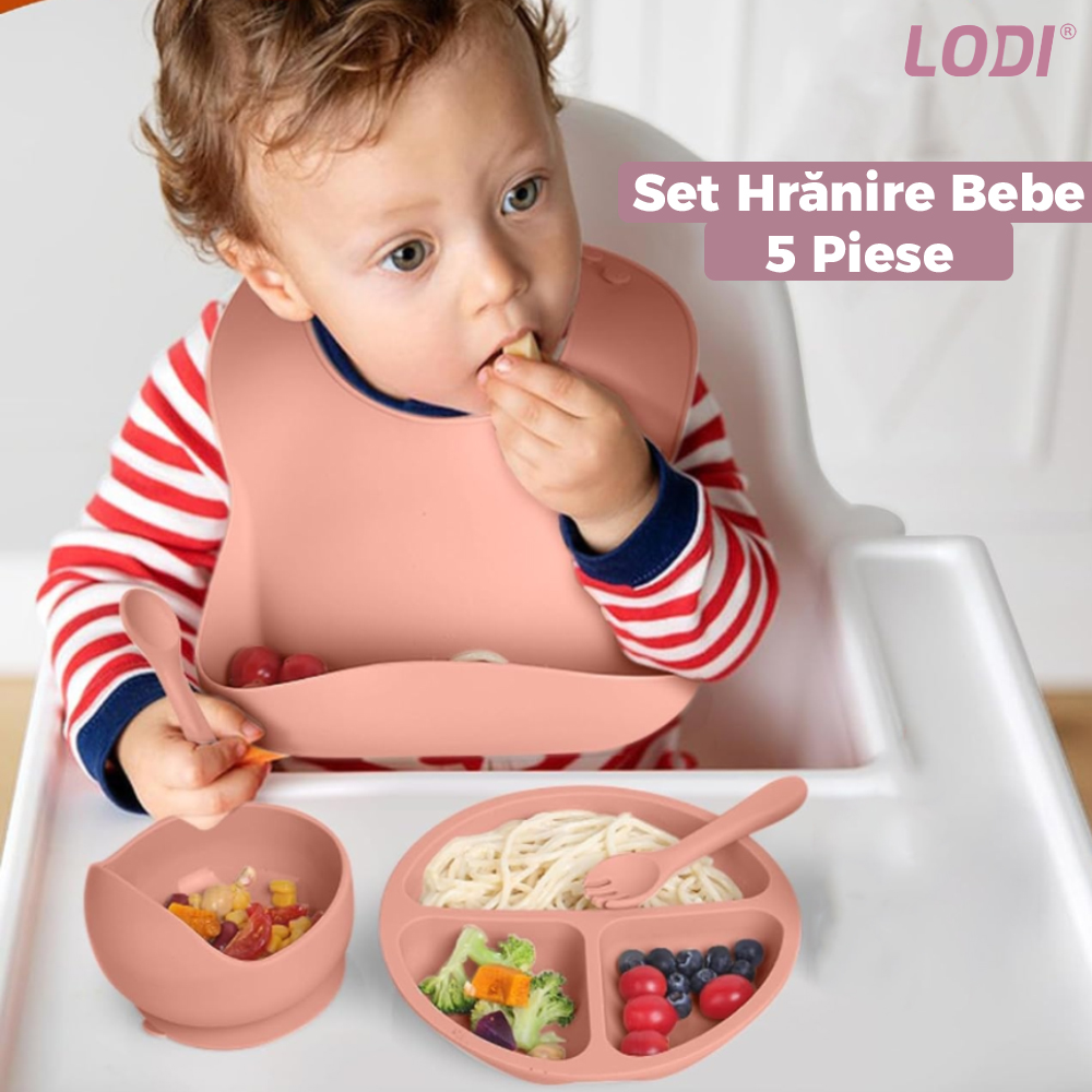 Set Hranire Bebeulsi Lodi249, 5 piese, termorezistente, silicon, fara BPA, pliabile, usor de curatat, roz blush