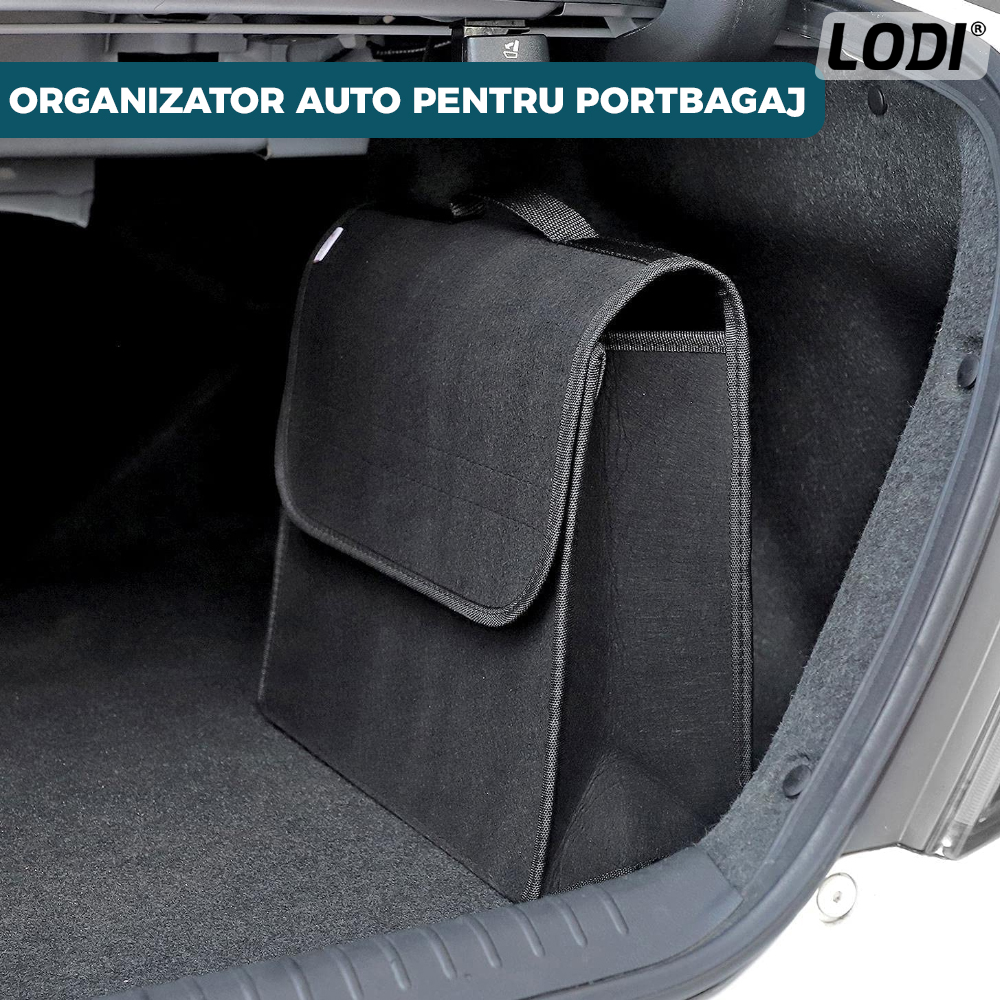 Organizator Auto Portbagaj Lodi295, 1 compartiment, tip geanta, portabil, inchidere velcro, multifunctional, universal, negru