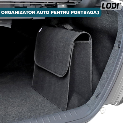 Organizator Auto Portbagaj Lodi295, 1 compartiment, tip geanta, portabil, inchidere velcro, multifunctional, universal, negru