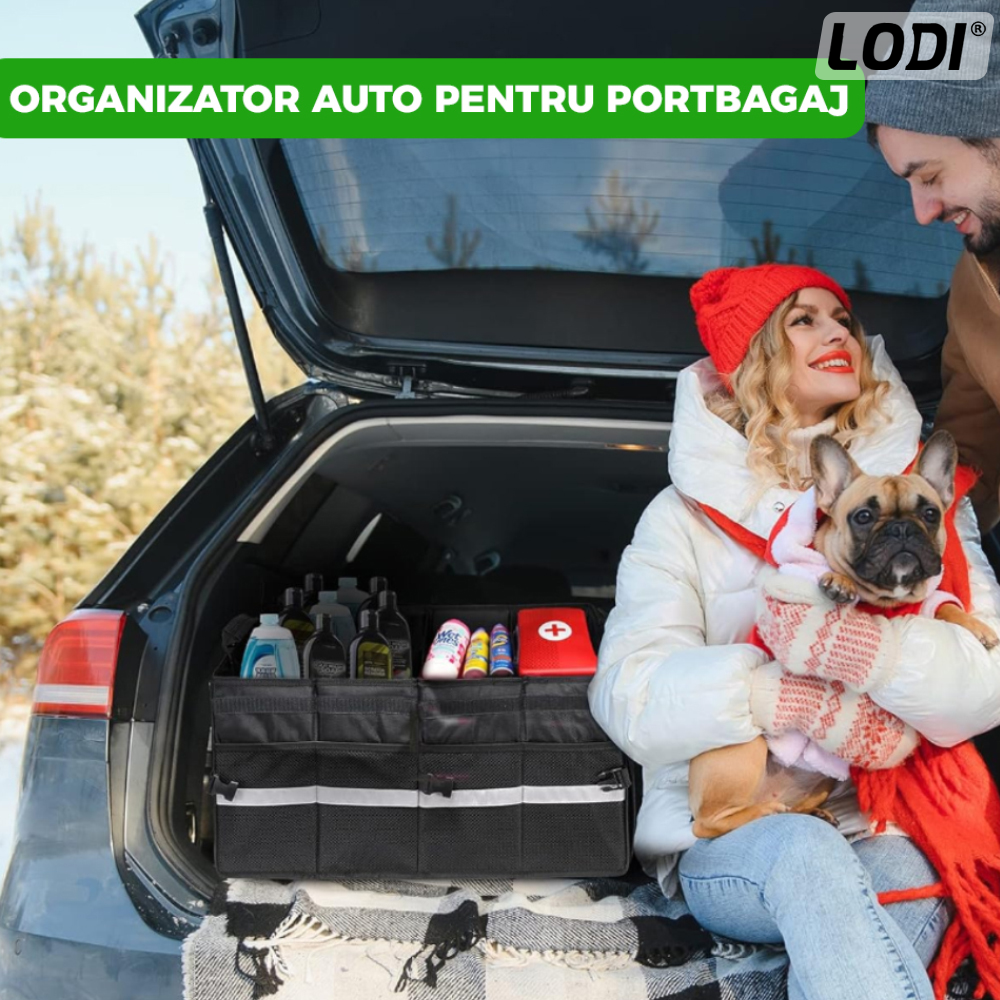 Organizator Auto Portbagaj Lodi292, 8 compartimente, pliabil, impermeabil, portabil, manere aluminiu, multifunctional, universal, capac inclus, negru
