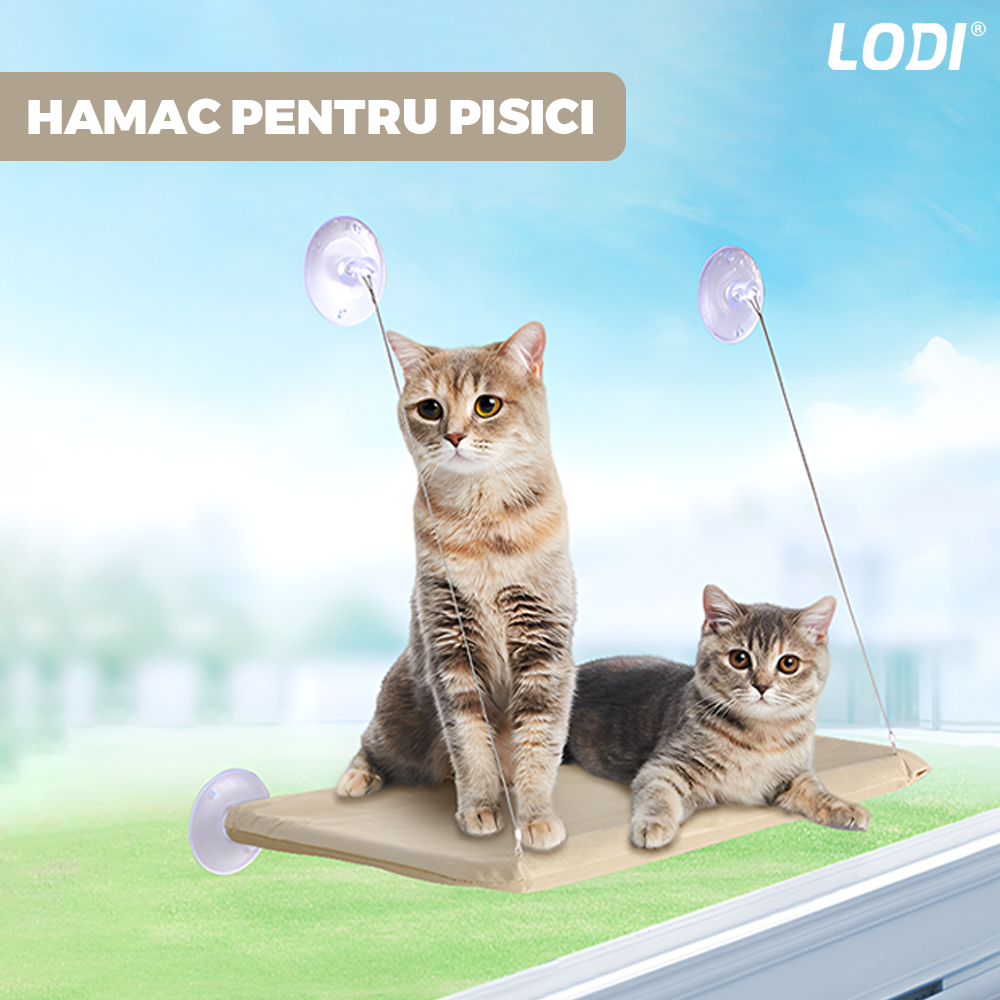 Hamac pentru Pisici Lodi1269, pat suspendat, montaj pe geam/suprafete uniforme lucioase, capacitate de pana la 15 kg, rezistent, ventuze de prindere, 35x55 cm, bej