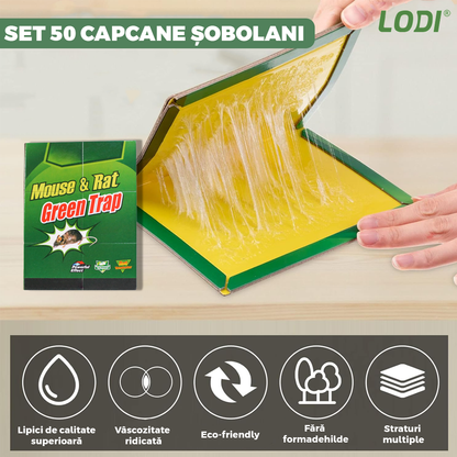 Set 50 x Capcane cu Lipici pentru Sobolani Lodi996, soareci, insecte, daunatori, din carton, tip carte, adeziv puternic, fara miros, reutilizabile, pentru exterior/interior, non-toxice, verde