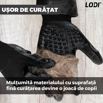 Set 2 Manusi Perii de Ingrijire si Curatare Caini, Pisici si Alte Animale de Companie Lodi422, periaj si masaj, prindere velcro, 25.5 x 13.5 cm, negru