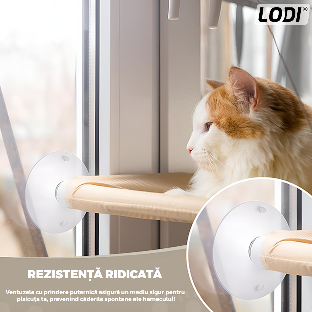 Hamac pentru Pisici Lodi1269, pat suspendat, montaj pe geam/suprafete uniforme lucioase, capacitate de pana la 15 kg, rezistent, ventuze de prindere, 35x55 cm, bej