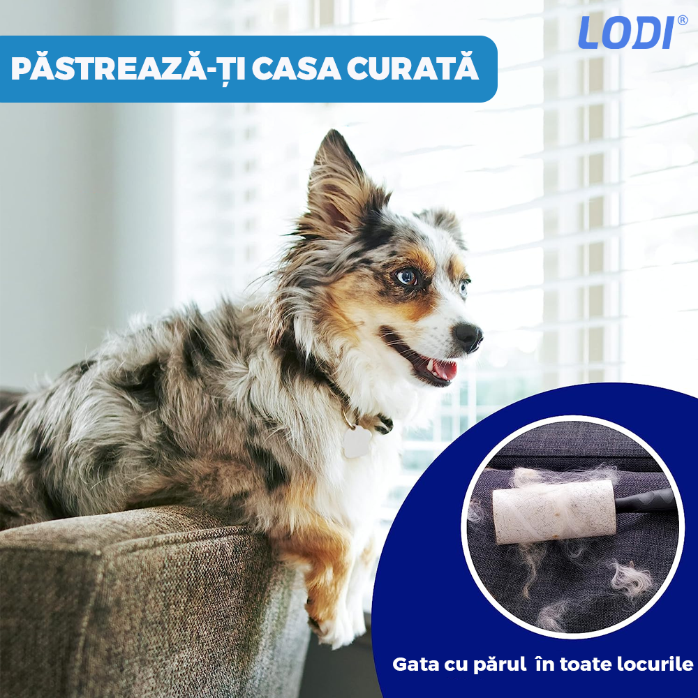 Perie par Caini, Pisici, Animale, Lodi430, tesala si perie trimmer 2 in 1, anti-naparlire, descalcire blana, pentru tuns par scurt si lung, L