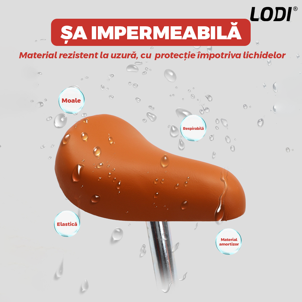Bicicleta fara Pedale Lodi1117, inaltime reglabila, manere anti-alunecare, sa confortabila waterproof, roti de 12 inch, cauciuc rezistent, 2-5 ani, albastru/rosu