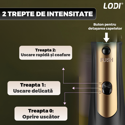 Uscator Profesional de Par 3 in 1 Lodi998, aparat multifunctional coafare si uscare, 3 accesorii incluse, 1000W, gri