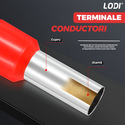 Trusa Sertizare Cabluri Electrice Lodi1268, ferule, cleste sertizare auto-reglabil cu revenire automata 0.25-10mm, maner anti-alunecare, 500 pini terminali, rosu/albastru