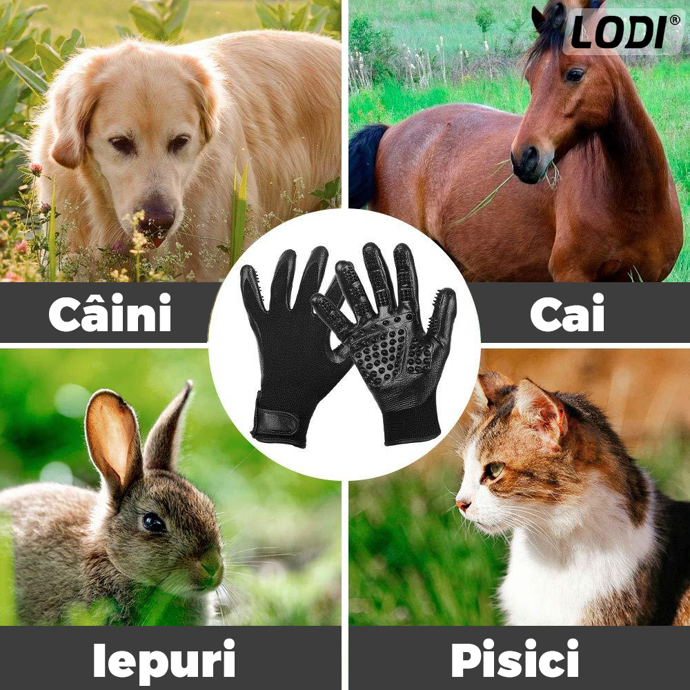 Set 2 Manusi Perii de Ingrijire si Curatare Caini, Pisici si Alte Animale de Companie Lodi422, periaj si masaj, prindere velcro, 25.5 x 13.5 cm, negru
