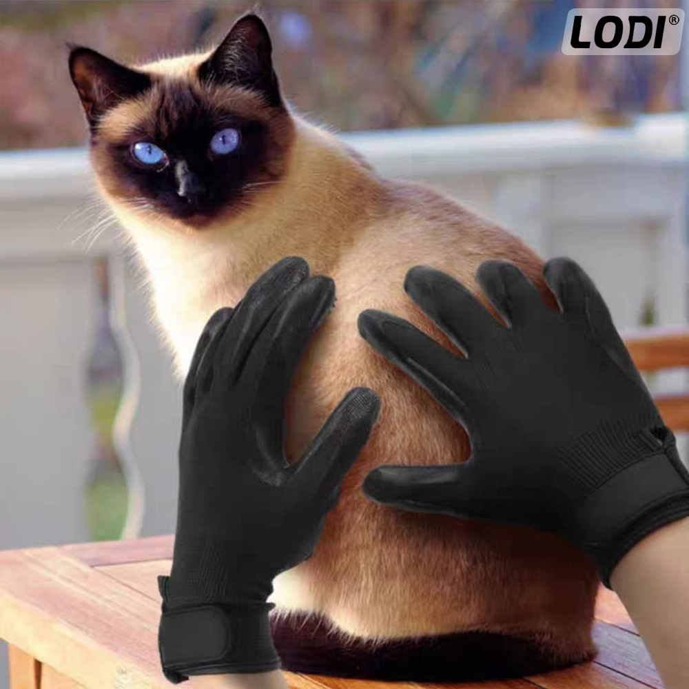 Set 2 Manusi Perii de Ingrijire si Curatare Caini, Pisici si Alte Animale de Companie Lodi422, periaj si masaj, prindere velcro, 25.5 x 13.5 cm, negru