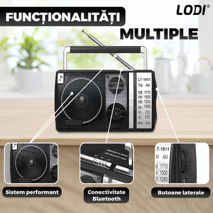 Radio Portabil Lodi1263, FM/AM, mod dual de alimentare, baterii/la priza, receptie ridicata ce prinde posturi regionale/la sate, port jack 3.5 mm, negru