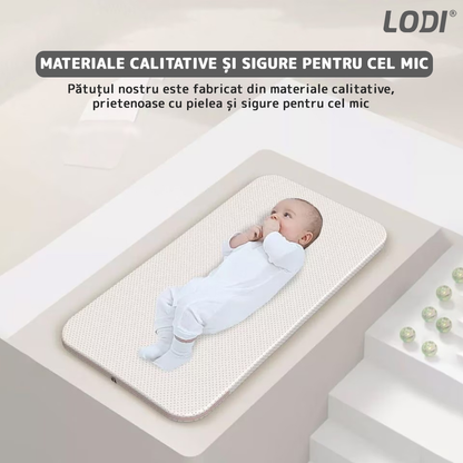 Patut Pliabil pentru Bebelusi Lodi1069, 3 trepte de inclinare, sistem de blocare, plasa anti-insecte, cos depozitare, gri